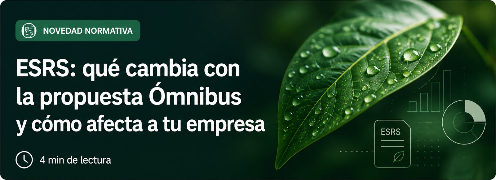 Cambios en los ESRS: qué queda de la obligación de reportar